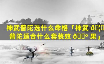 神武普陀选什么命格「神武 🦉 普陀适合什么套装效 🐺 果」